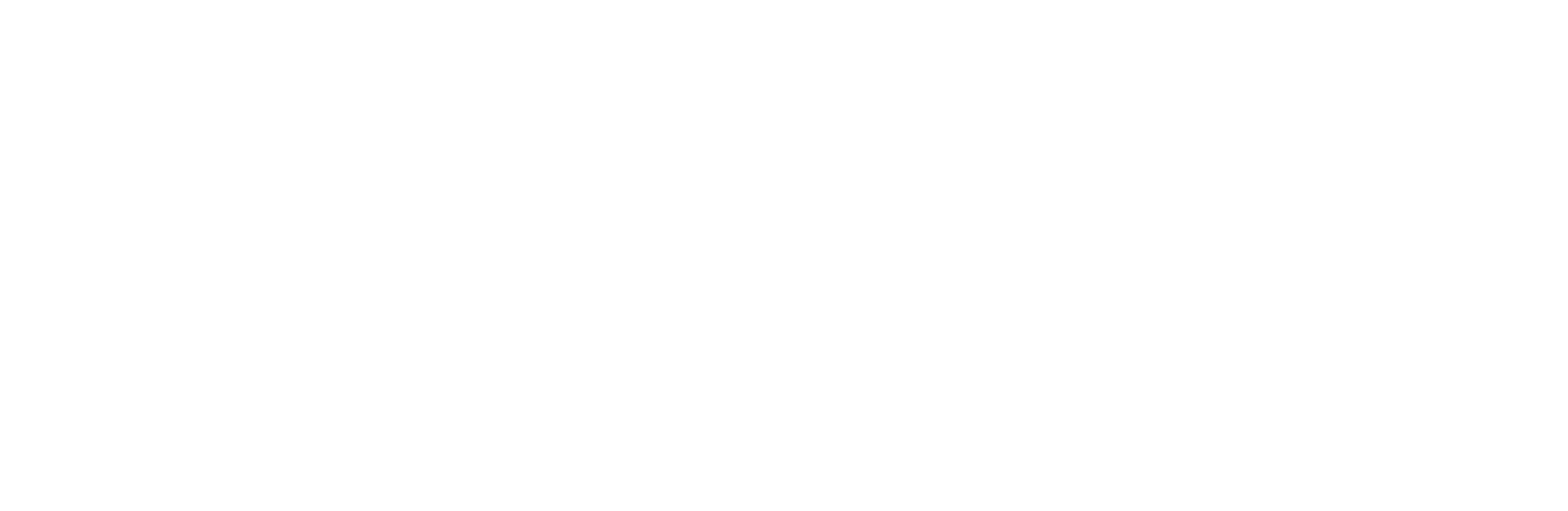 Designsensory Intelligence