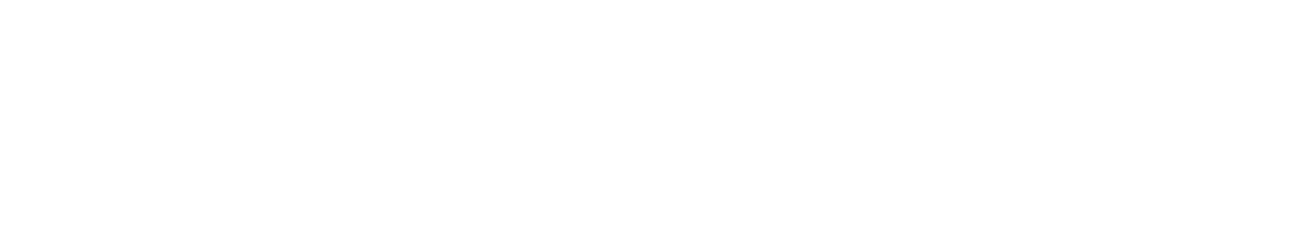 Designsensory Intelligence